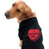 Funny Dog Shirt for Valentines Day – I Tolerate You
