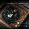 Linsoul ZiiGaat Arcanis Hybrid (2DD+5BA) High-End In-Ear Earbuds