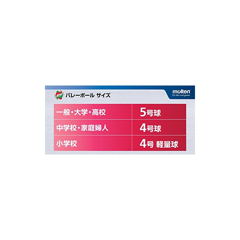Molten V5M4000 Volleyball No. 5 Practice Ball Model
