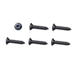 1978-81 CAMARO PARK BEZEL SCREWS BLACK (G-4421)
