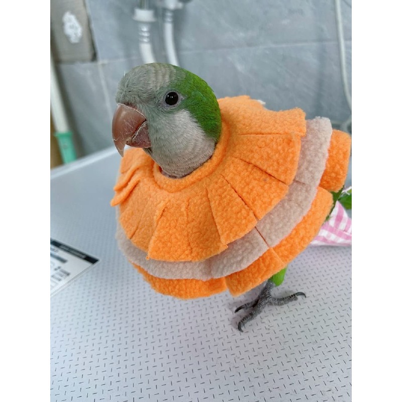 RRRIOT Adjustable Parrot Cone Collar, Safe and Practical Cotton Collar