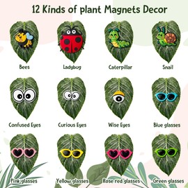 H1vojoxo 12PCS Cute Plant Magnets Eyes for Potted Plants, Unique Gifts for Plant Lovers, Funny Indoor Outdoor Plants Accessories, Plant Safe Magnets Decor, Plant Pins Magnets for Home Decor