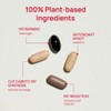 Foodology [Foodology]Burningology D-day 3.8g x 10pouch (38g)