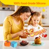 IELEK Silicone Lunch Box Dividers Square Bento Box Kit Accessories