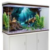 MIRRORANG 61 x 30 cm Underwater Aquarium Background Colourful Mountain