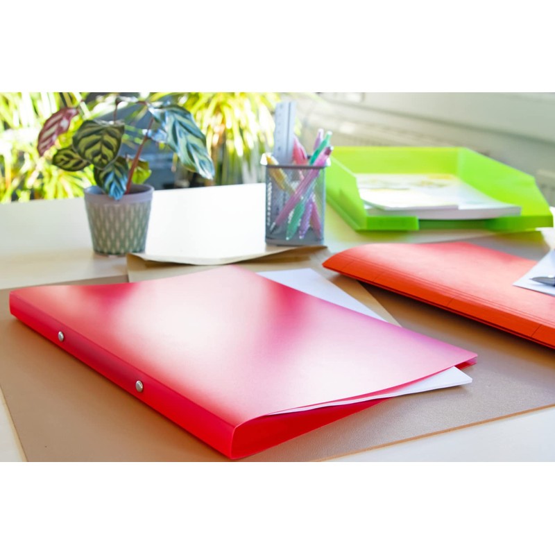 Idena 10435 Ring Binder in DIN A4 Format, with 2-Ring