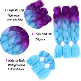 ColorfulPanda 3 packs Hair Extensions for Braiding Crochet Twist Hair Purple Blue Color,Yaki Synthetic Easy Jumbo Braids Pre-stretched African Box Braided hair 24inch,dark purple/light blue