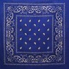 Royal Blue Cotton Bandana Scarf Square Black White Paisley