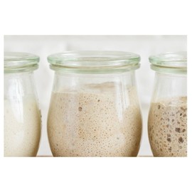 Positively Probiotic San Francisco | Sourdough Starter Culture | 2 Pack