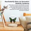 Sunset Moth Butterfly Framed Decoration - Handmade Glass Shadow Box
