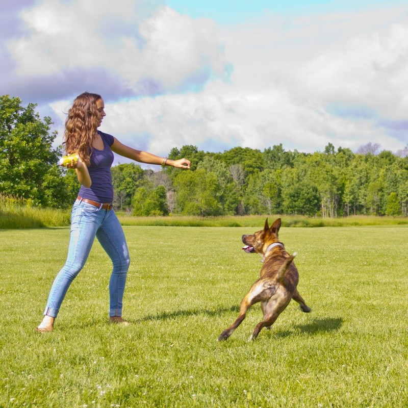 Hyper Pet Hyper Squawkers Dog Bone Durable Dog Toy Designed