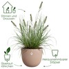 elho Sereh Round 30 Flower Pot for Indoor and Outdoor