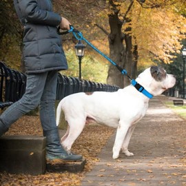Hongzhanfa Dog Leash Easy to Hold Sponge Handle Durable Rope, 59.1 x 0.5 inches (150 x 1.2 cm), Night Reflective, Small Dogs, Medium Dogs, Large Dogs, Training (Sky Blue, L)