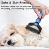 AXEFUN 3-in-1 Pet Deshedding Tool – Grooming Brush for Dogs