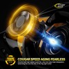 Cougar Motor 9006 Bulbs, 9006 HB4 Fog Light or Off-Road