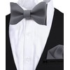 Adam Young Men's Gray Self Tie Bow Tie with Pocket