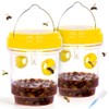 2 Pack Solar Wasp Traps - Effective Outdoor Insect Control
