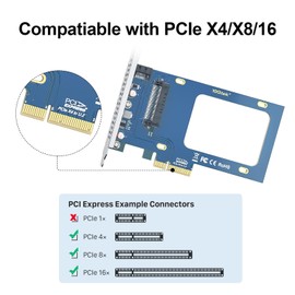 #10Gtek# U.2 SFF-8639 to PCIe NVMe SSD Adapter Card, PCIe 3.0 X4 Expansion Card for 2.5" U.2 NVMe SSD or 2.5" SATA SSD