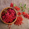 Outsidepride Goji Berry Fruit Plant Seeds - 20 Seeds