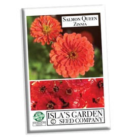 Salmon Queen Zinnia Seeds for Planting, 50+ Flower Seeds Per Packet, (Isla's Garden Seeds), Botanical Name: Zinnia elegans, Non GMO & Heirloom Seeds, Great Home Garden Gift