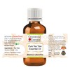 Greenwood Essential Essential Oil Kit 100% Natural Therapeutic Grade 15ml