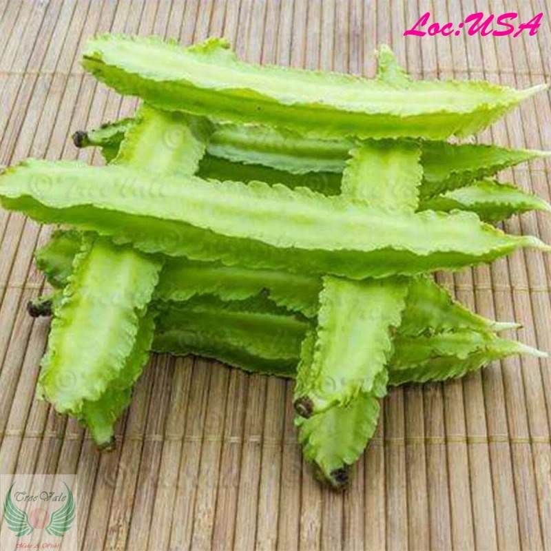 Treevale WINGED BEAN SEEDS, ĐẬU RỒNG, DARA DHAM BALA manila