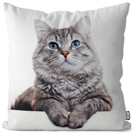 VOID Grey Cat Tabby Cushion Cover Sofa Cushion Decorative Outdoor Cushion Decorative Cushion Size: 40 x 40 cm