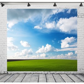 Loccor Fabric 6x6ft Blue Sky Backdrop Meadow Green Grass Blue Sky Clouds Photography Background Outdoor Nature Scenery Easter Decoration Kid Baby Adult Boy Girl Artistic Portrait Photo Studio Props