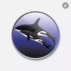 Unbranded Killer Whale Animal | 4'' X 4'' Round Decorative