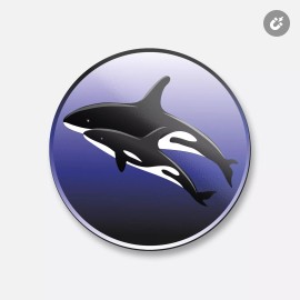 Unbranded Killer Whale Animal | 4'' X 4'' Round Decorative Magnet