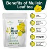 Mullein Leaf Tea for Lungs Cleanse and Immune Support, 100%