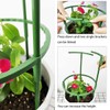 12Pcs Plant Support Plant Stake Half Round Plant Support Ring