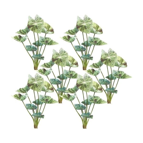 Melrose International Varigated Caladium Foliage Bush, Set of 6, Green