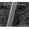 Tauro 24130 All-Round Mattress Cover, Mite-Proof, Mite Protection for Dust