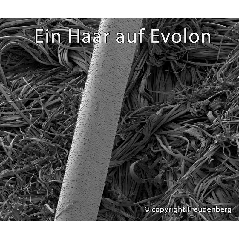 Tauro 24130 All-Round Mattress Cover, Mite-Proof, Mite Protection for Dust