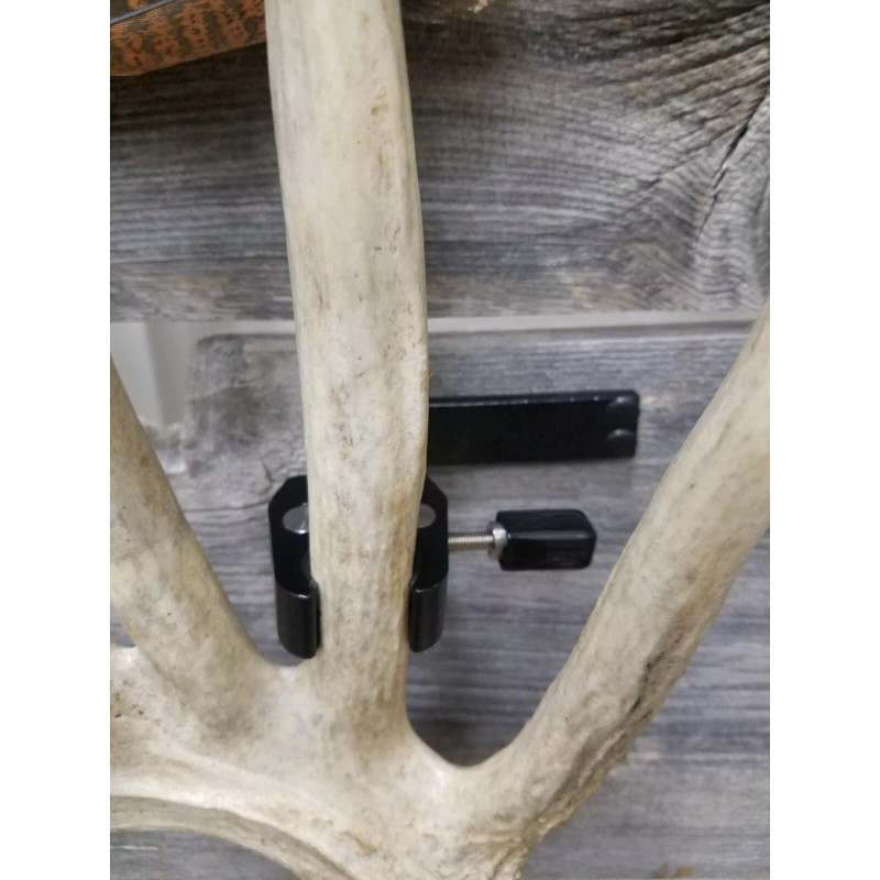 Thuli Products Antler Shed Display Clamp