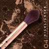 Morocco Dream Highlighter Brush 04