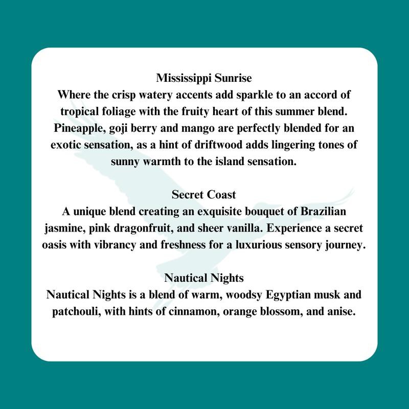 Liquid Laundry Detergent:_Saltwater Sol