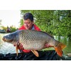 Tandem Baits Carp Feed Fishing Food Pop Ups Boilies Zig