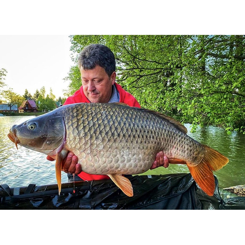 Tandem Baits Carp Feed Fishing Food Pop Ups Boilies Zig