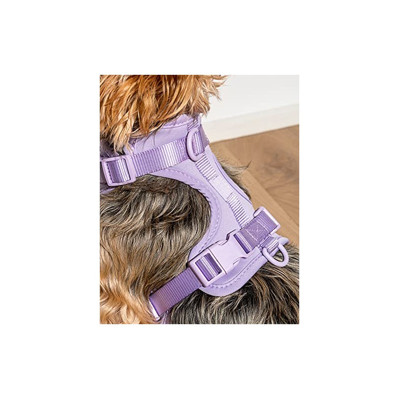 Wild One Harness 2.0 - Medium - Lilac