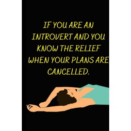 IF YOU ARE AN INTROVERT AND YOU KNOW THE RELIEF WHEN YOUR PLANS ARE CANCELLED.: A Funny Novelty Introvert - Small Gift Notebook (6" x 9")