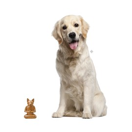 NOVICA Brown Animal Themed Suar Wood Sculpture, 6.5" Tall 'Cat in Deep Meditation'