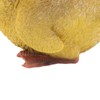 Duck Ornament Resin Weather Resistant Cute Vivid Expression Duck Statues