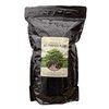 Bonsai Outlet Bonsai Soil Mix - Tinyroots All Purpose Bonsai