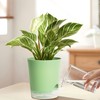 LESOASIS 4 Inch 5 Pack Small Self Watering Pots for