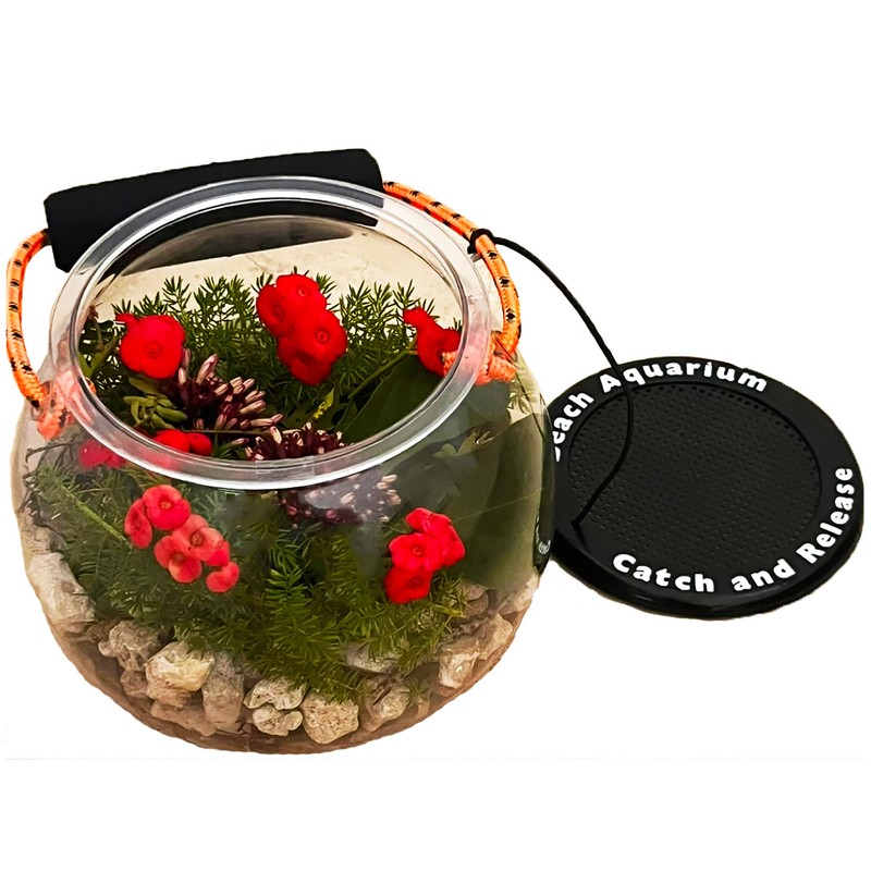 Dry Branch Sports Design Catch and Release Beach Aquarium Kit