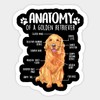 Anatome Golden Retriever Dog Sticker, Decal, Vinyl for car Bumper,