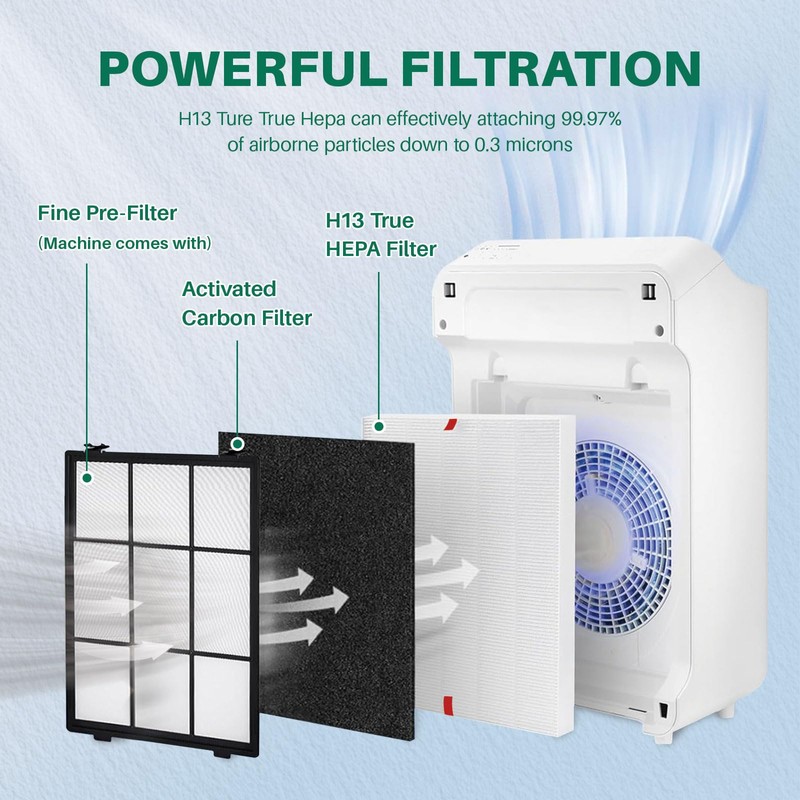 Fanulter 10 Pack C545 Replacement HEPA Filter Compatible with Winix