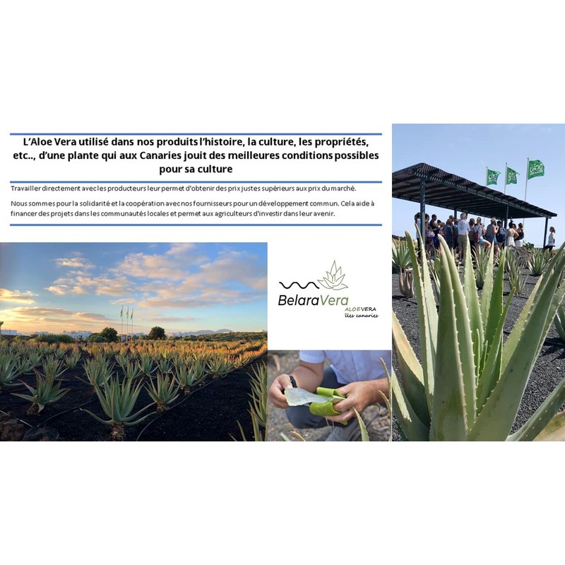 Aloe+ Crema con Aloe y Caracol 100 ml